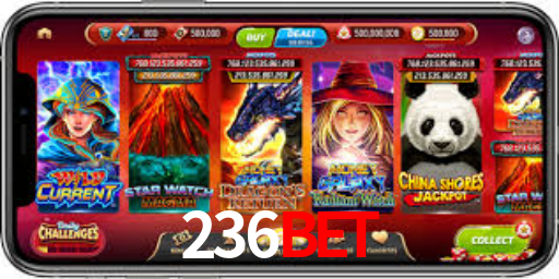 Interface Premium 236Bet